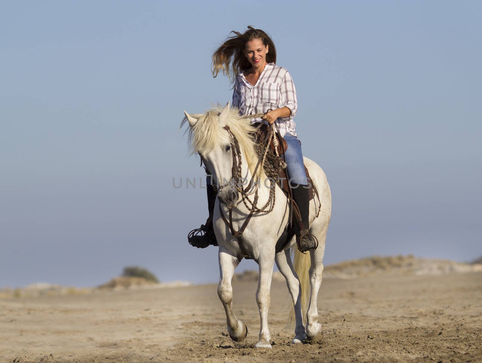 horsewoman and her horse on the beach