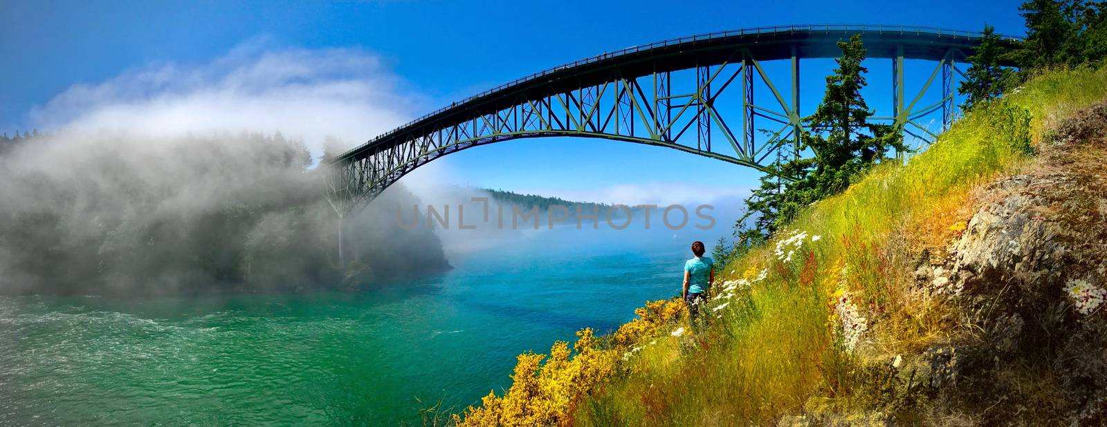 Deception Pass Bridge in summer with fog and wildflowers.