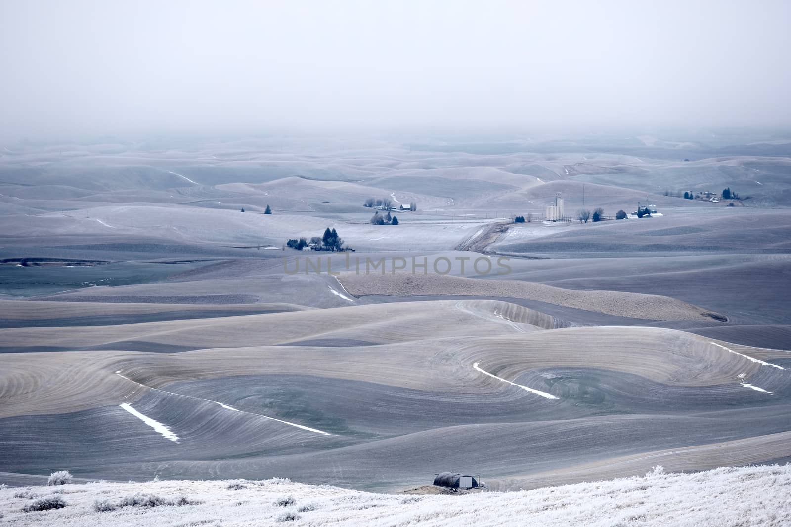 Rolling hills covered with frost and snow in winter. Foggy morning soft light on the farmlands in agricultural Palouse, southeast Washington. Moscow, Idaho. USA.
