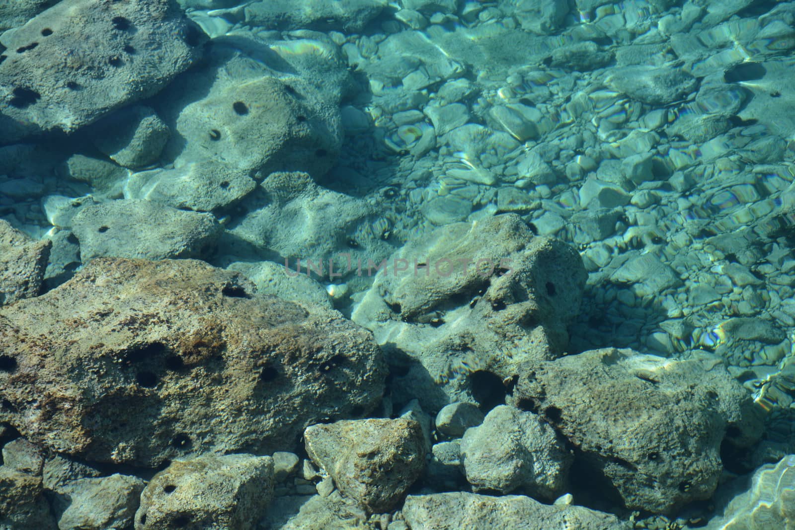 View from above to the sea bottom - rocks and sea urchins