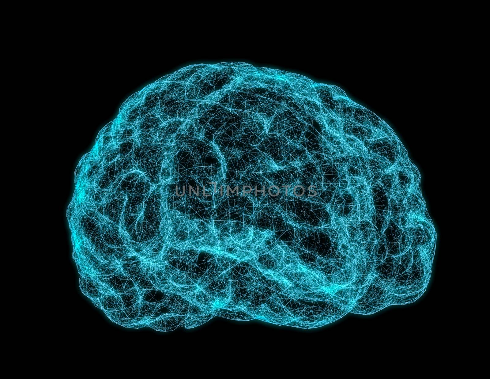 X-ray image of human brain on dark background. 3D Illustration