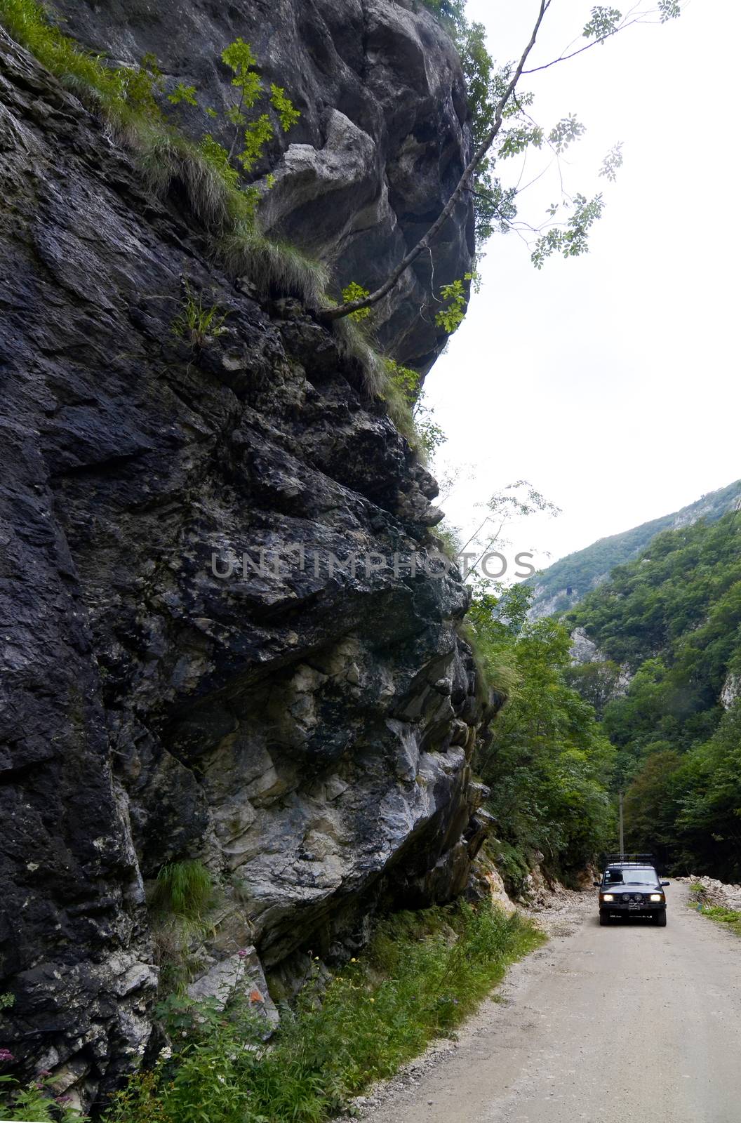 Rural road on beautiful sunny summer day