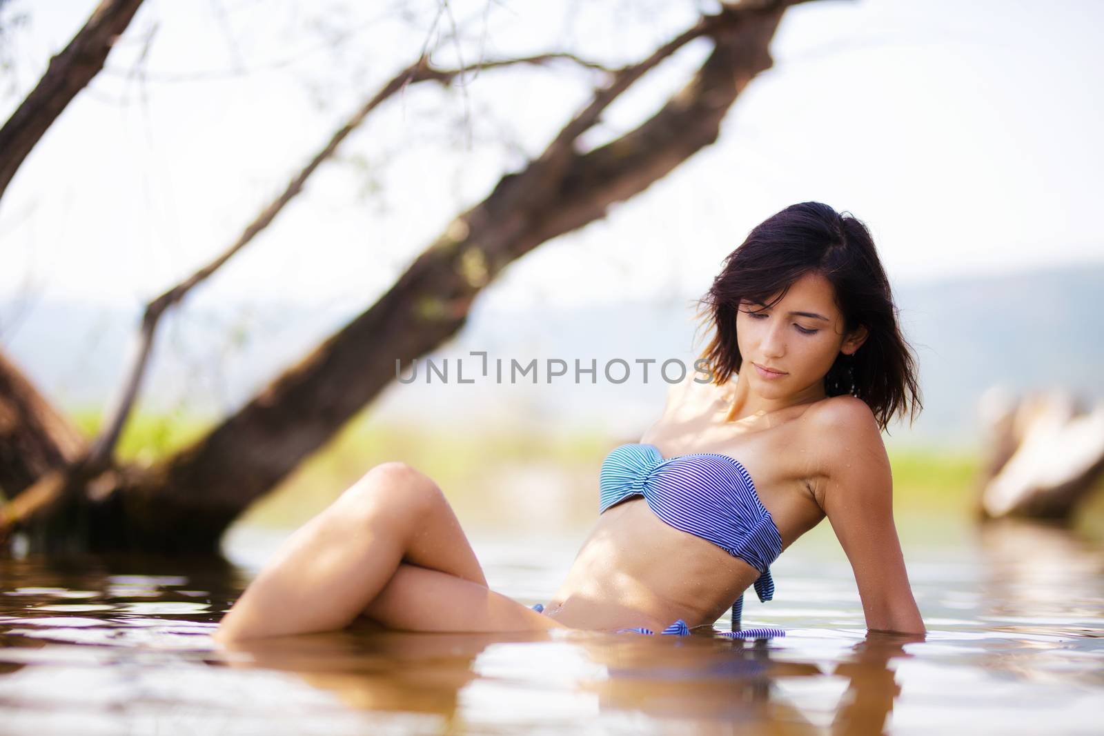 sexy girl posing in water. underwater tree in the background
