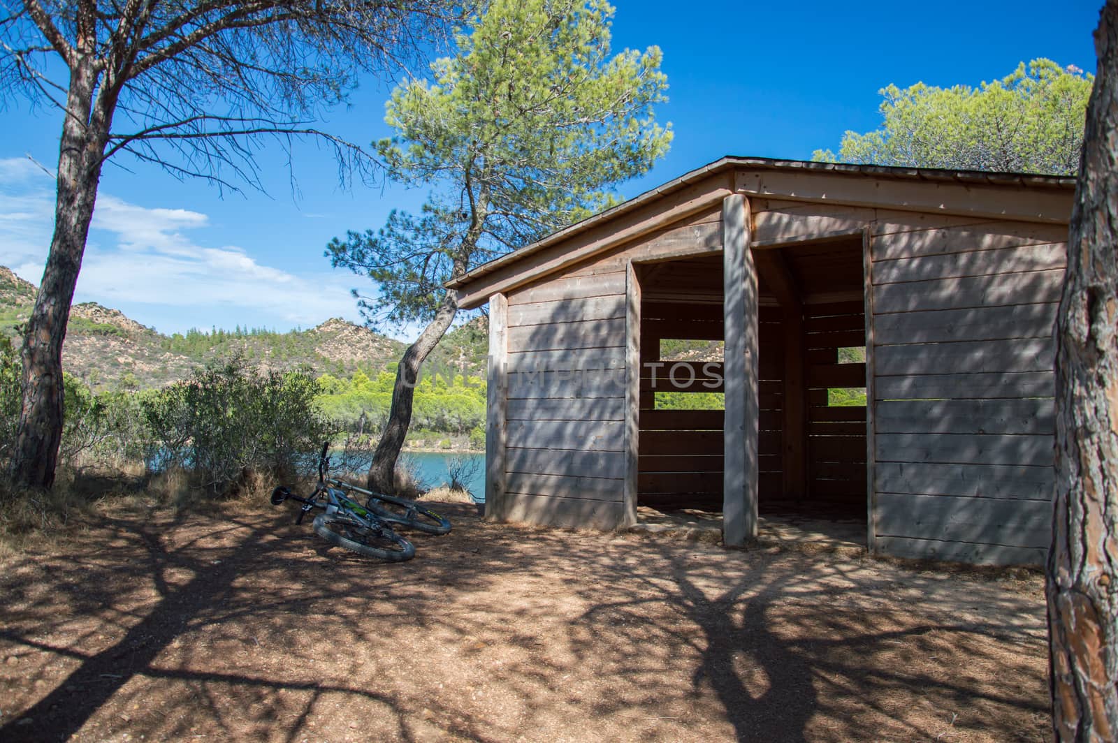 a wood hut in the naturl reserve in bidderosa