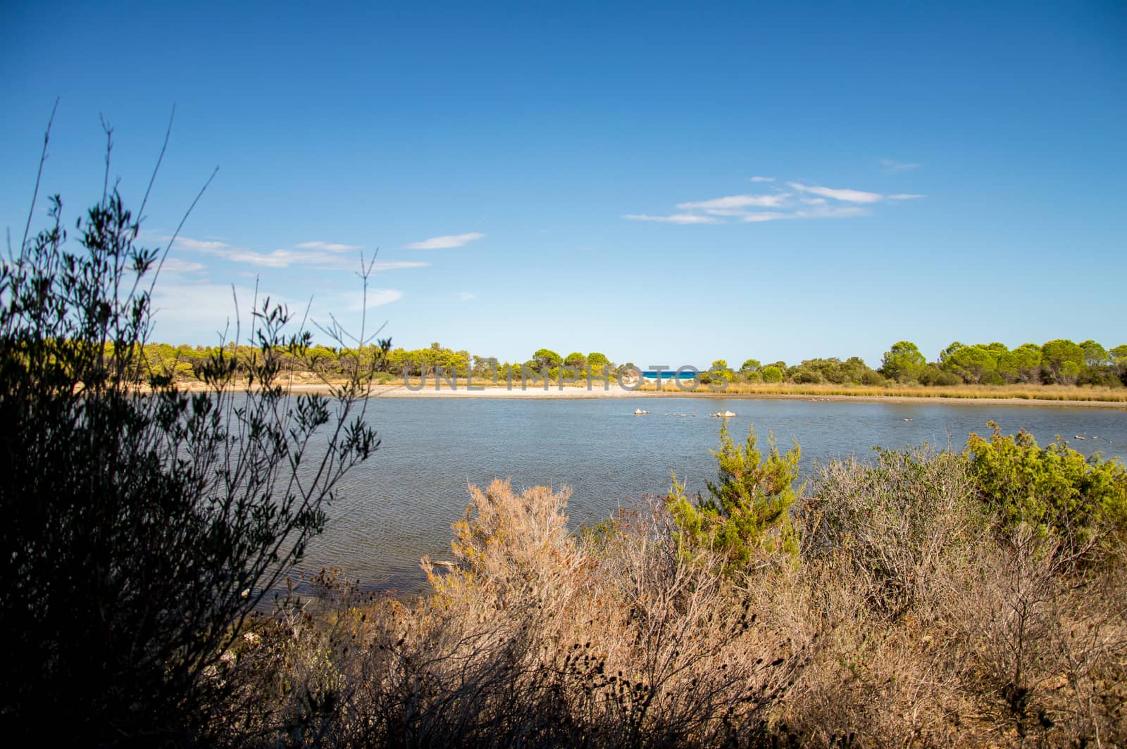 the beautiful lake of bidderosa in sardinia