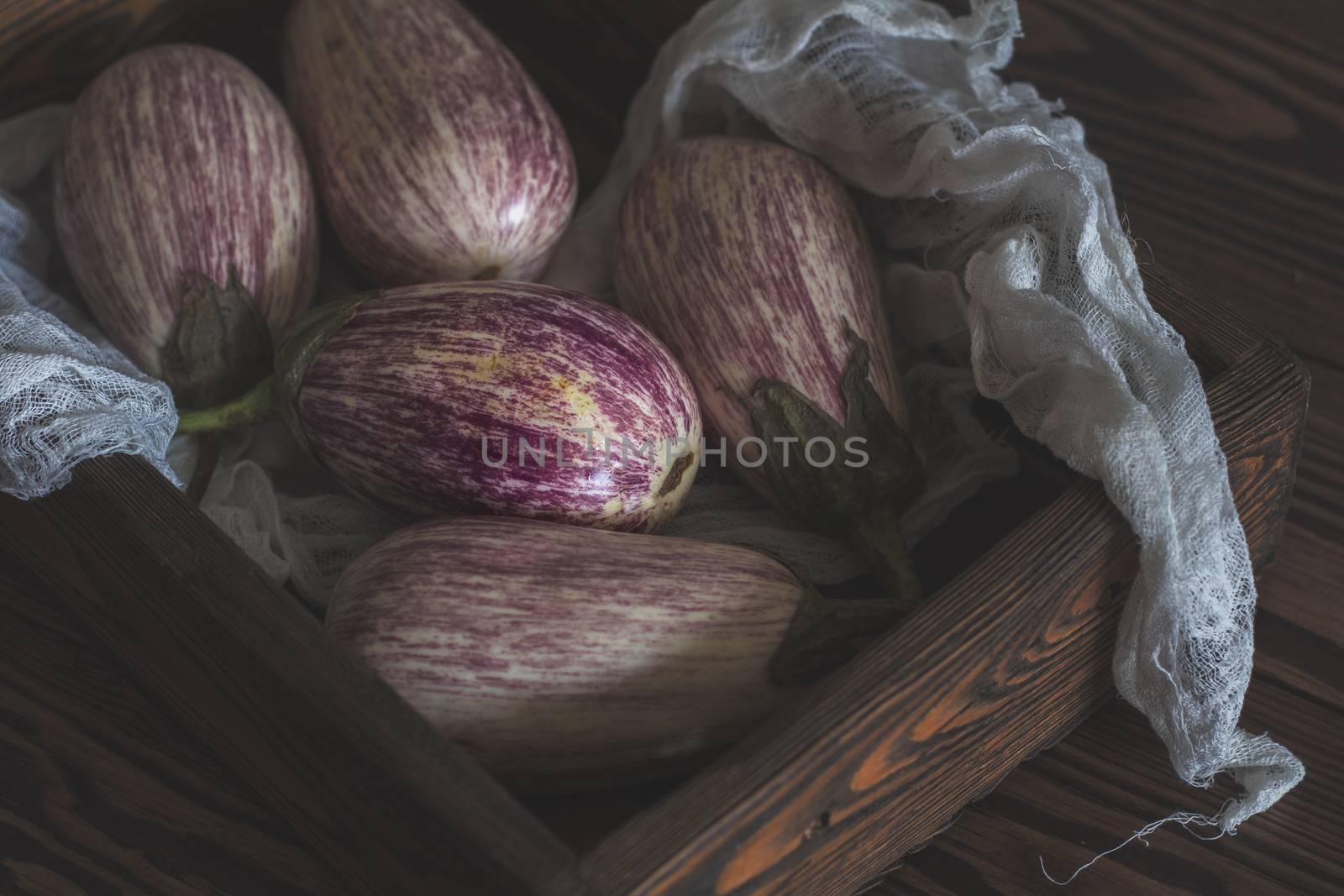 Purple graffiti eggplants, onion and Purple graffiti eggplants i by ArtSvitlyna