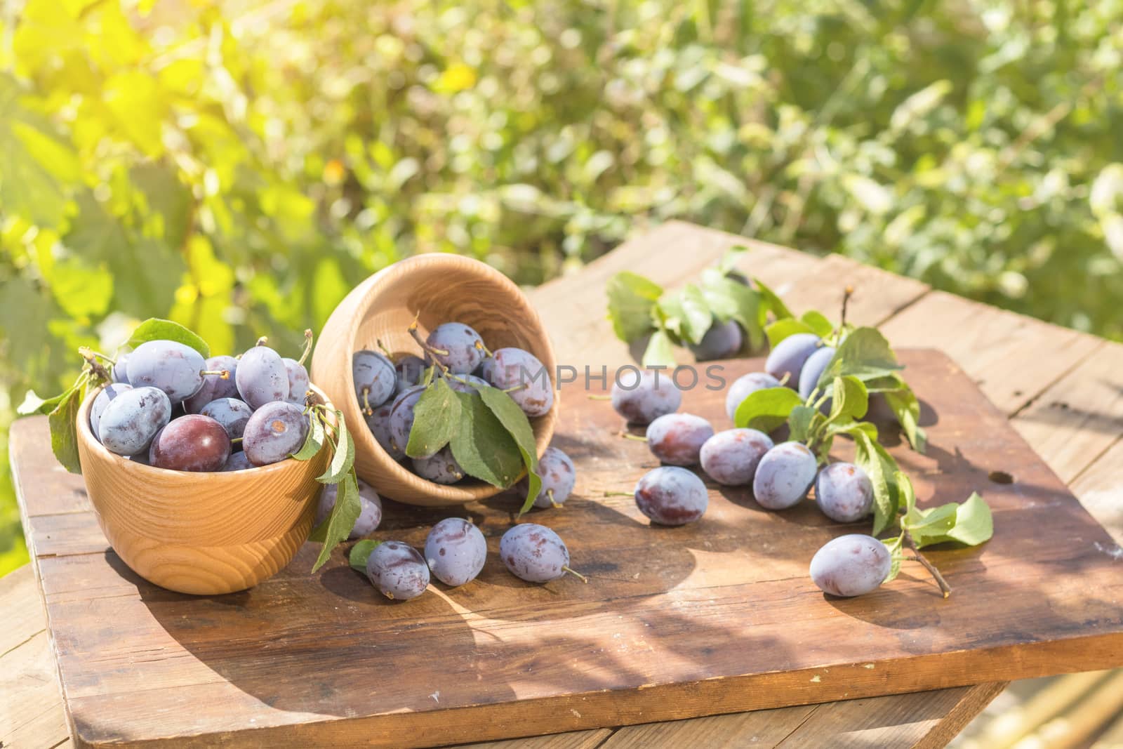 Fresh plums on wooden table in sunny day in garden by ArtSvitlyna