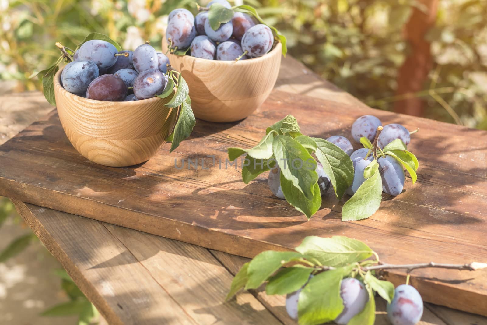 Fresh plums on wooden table in sunny day in garden by ArtSvitlyna