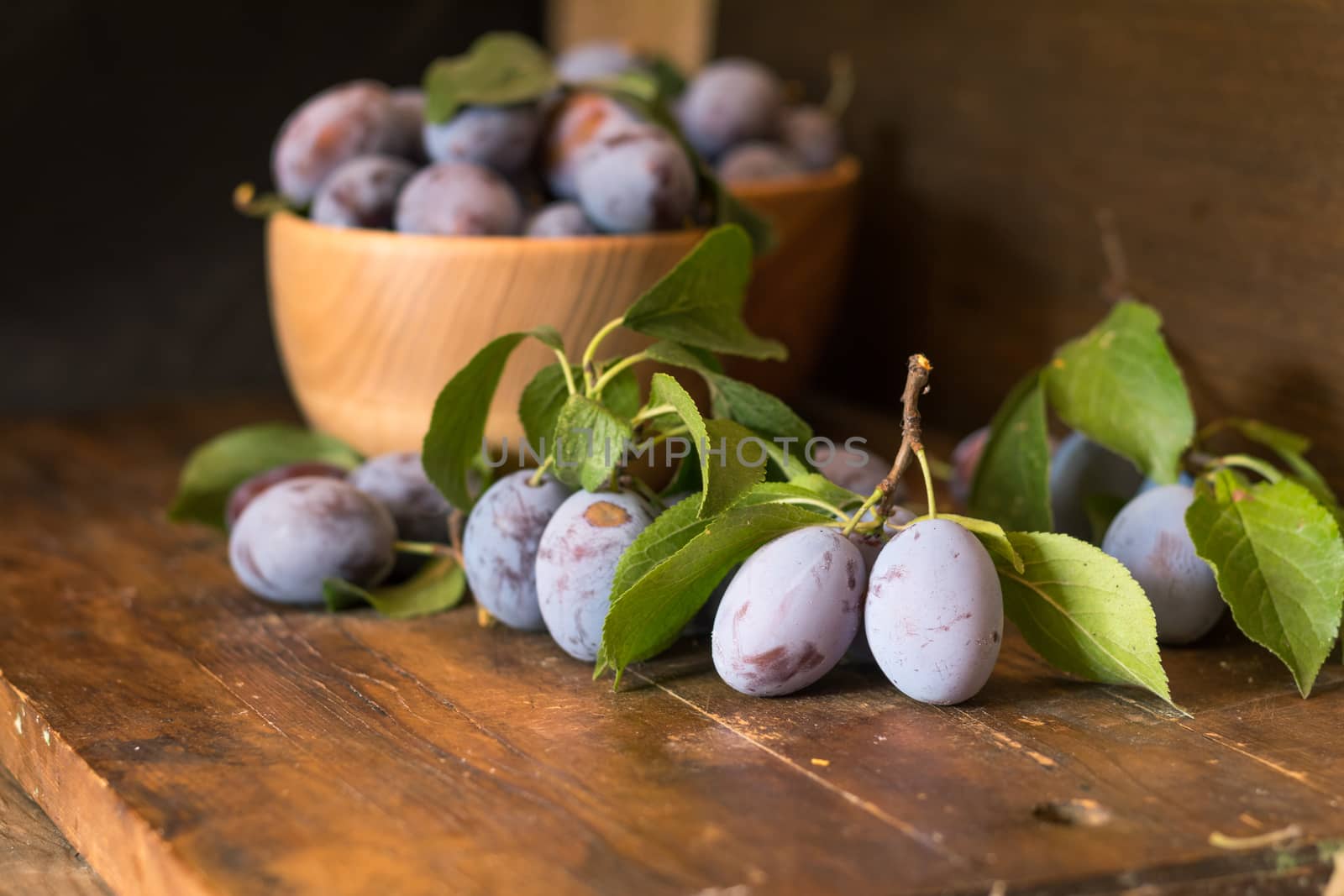 Fresh plums with green leaves in wooden pot on the dark wooden table. Shallow depth of field. Toned.