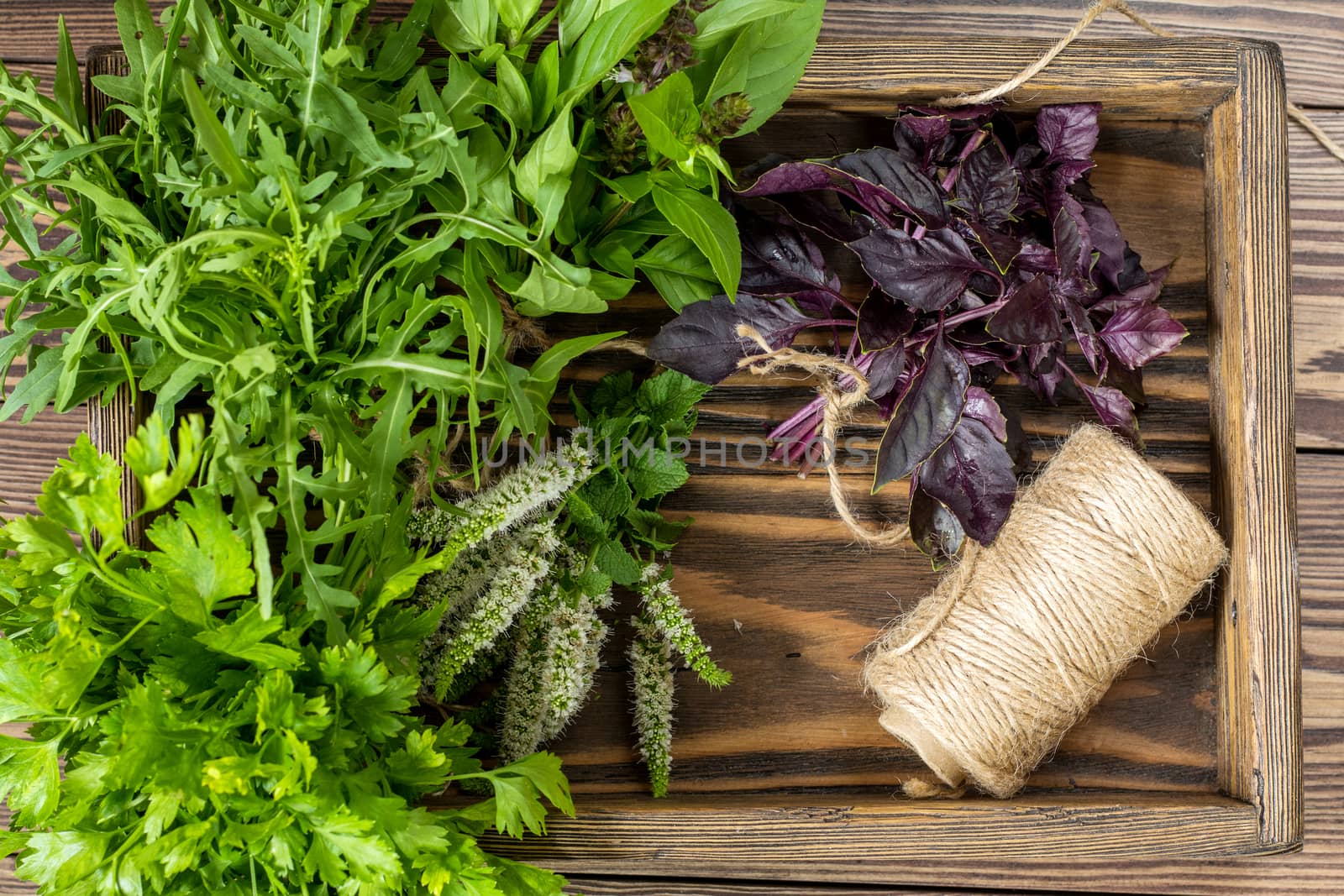 Fresh organic green herbs wooden floor by ArtSvitlyna