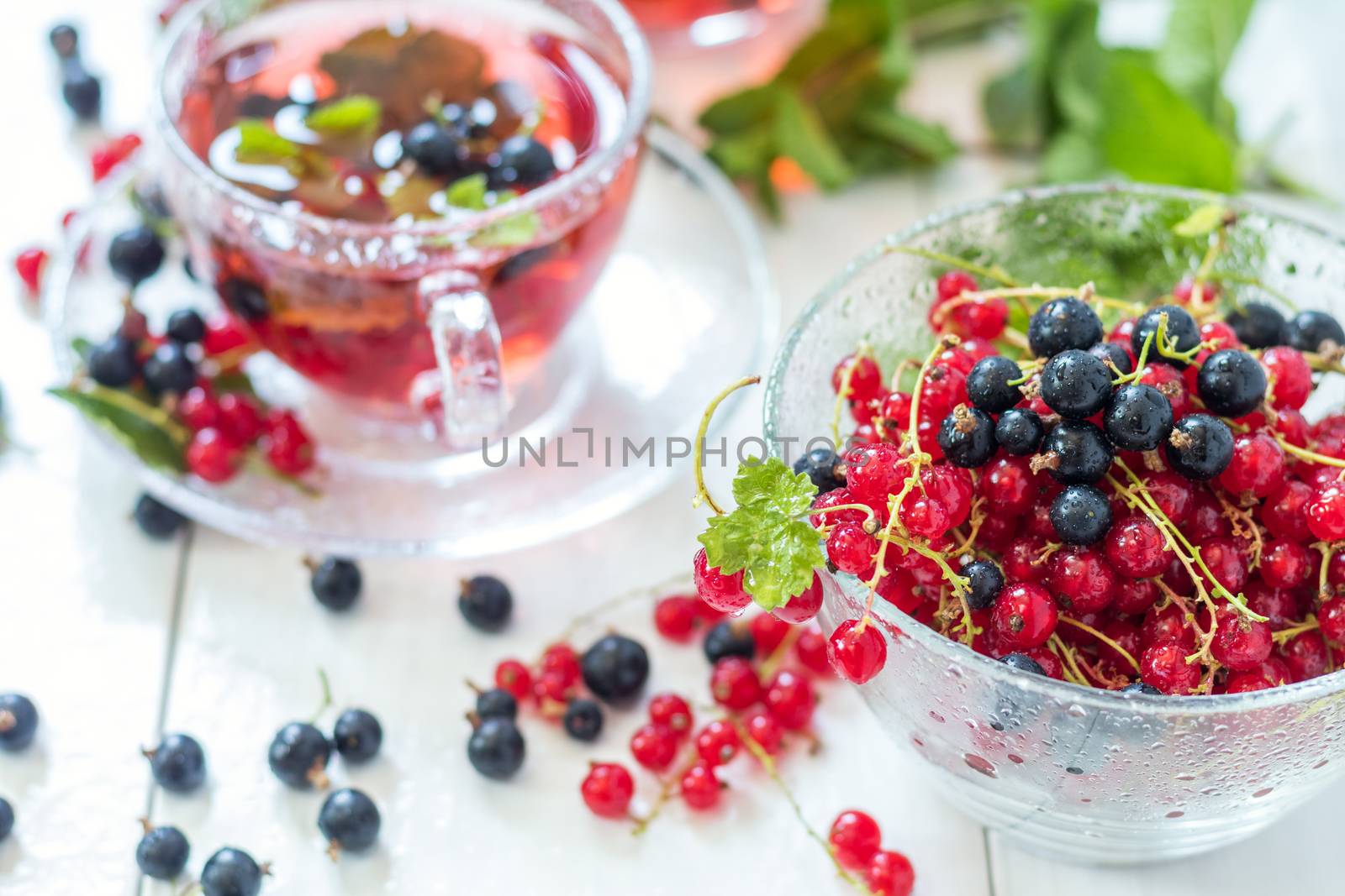 Fresh juicy red and black currant with dew drops in clear glass vase on the table. Shallow depth of field