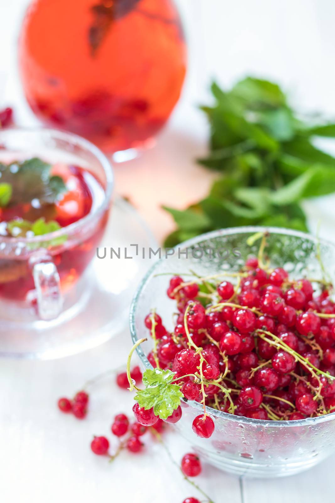 Fresh juicy redcurrant with dew drops in clear glass vase. Shallow depth of field