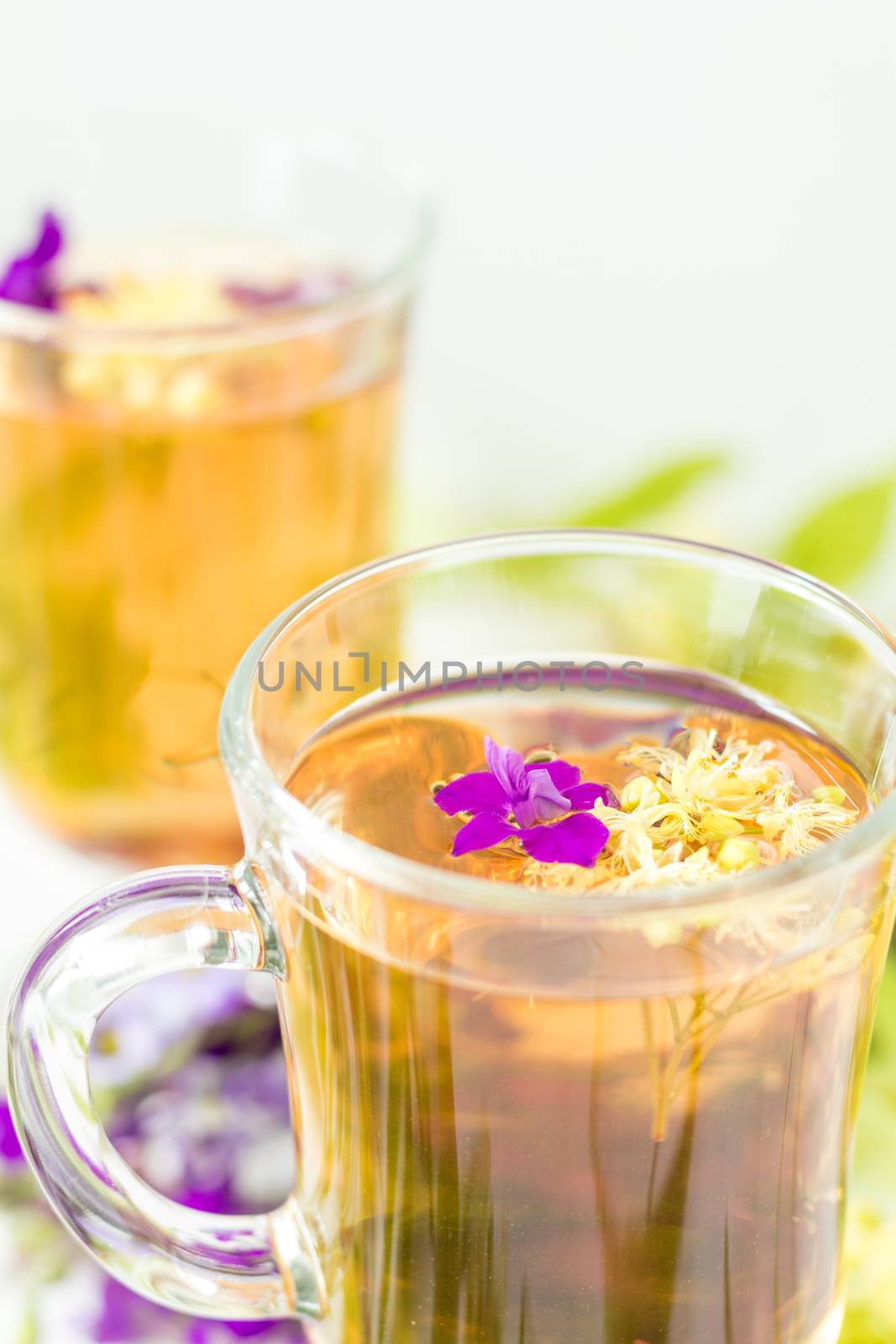 Linden herbal tea in a transparent grog glass with a linden blos by ArtSvitlyna