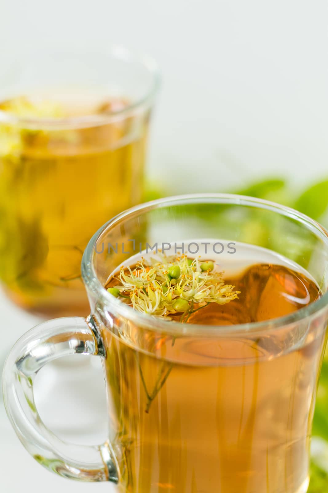 Linden flower tea in a transparent grog glass with a linden blossom on the white wooden surface