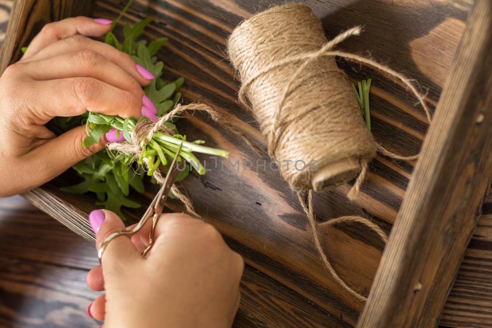 Female hands cutting arugula bunch with scissors over the wooden box . Top view
