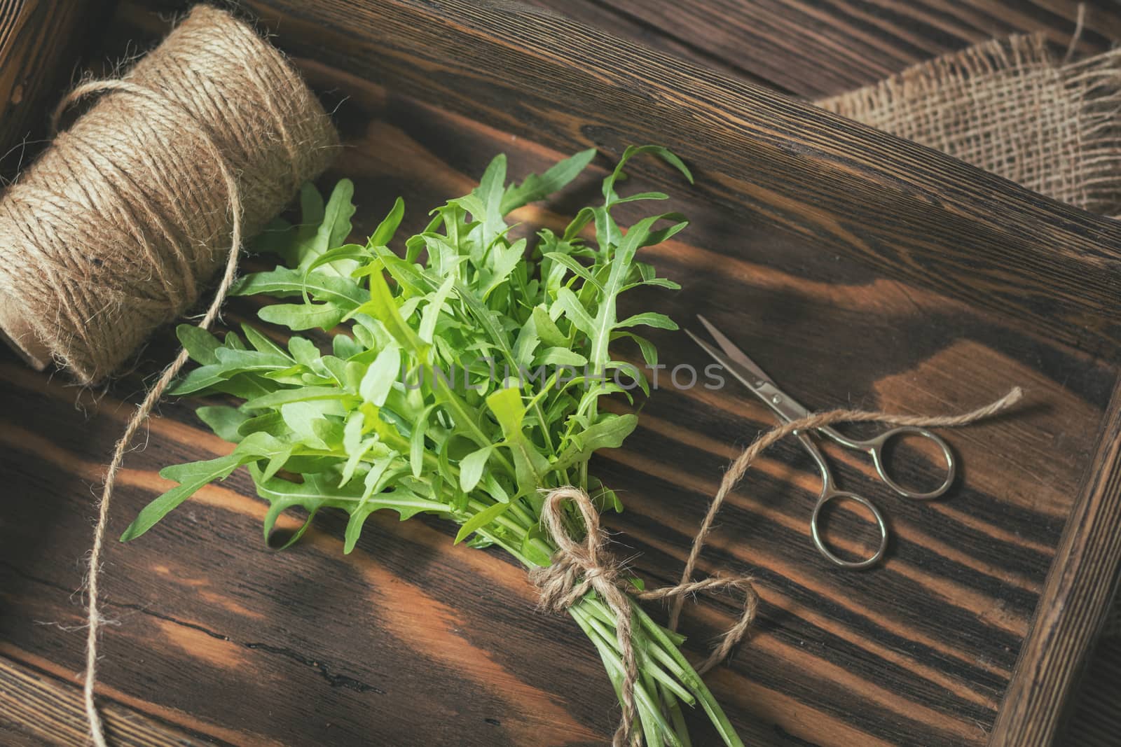 Fresh green arugula bouquet and supplies in wooden box. Top view