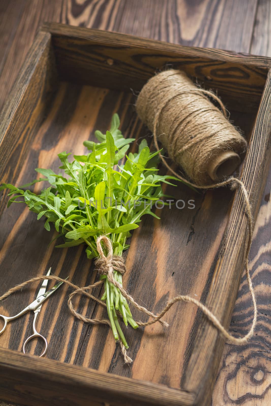 Top view of the bunch of fresh arugula in a wooden box. Dark woo by ArtSvitlyna