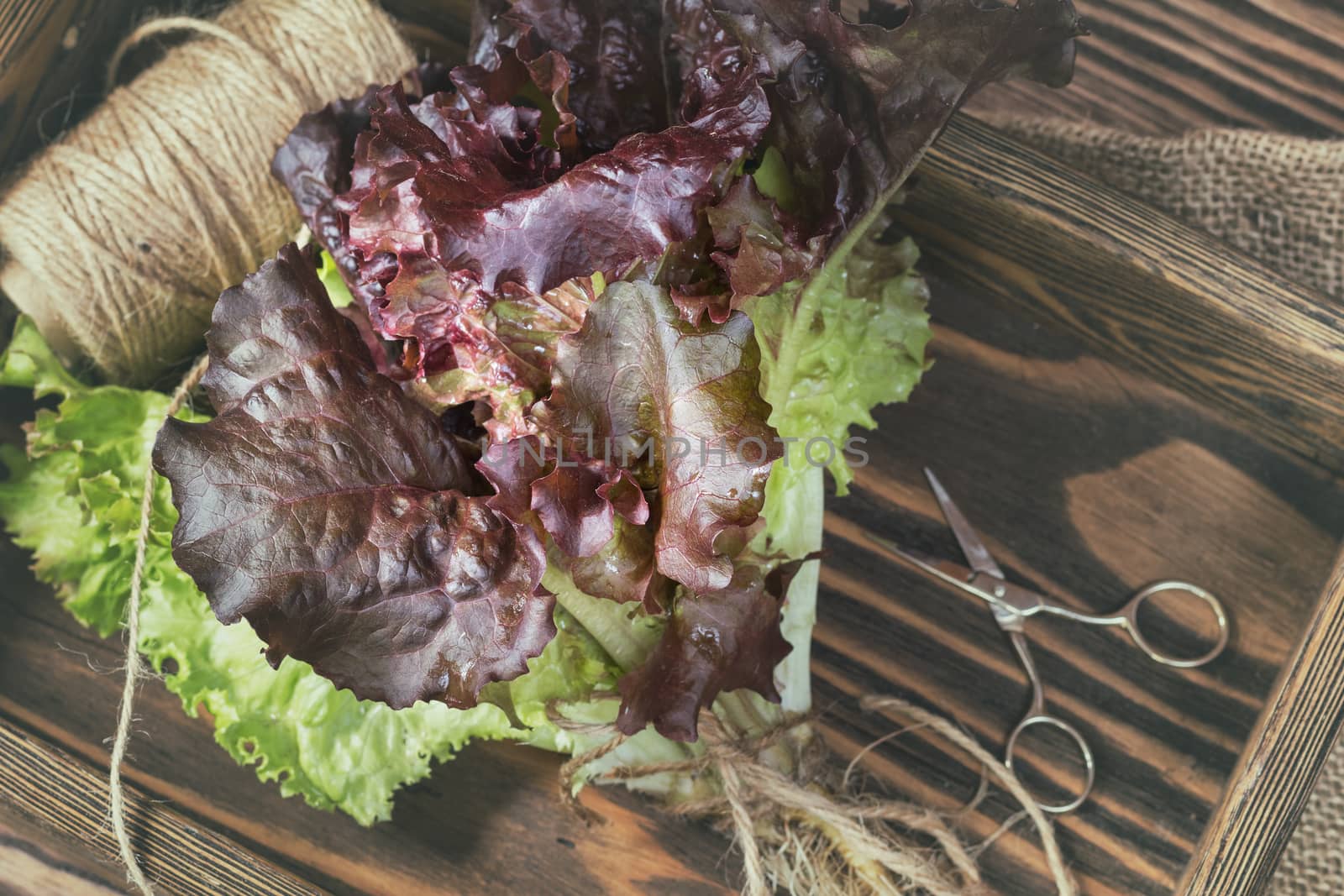 Top view of the bunch of fresh lettuce in a wooden box 