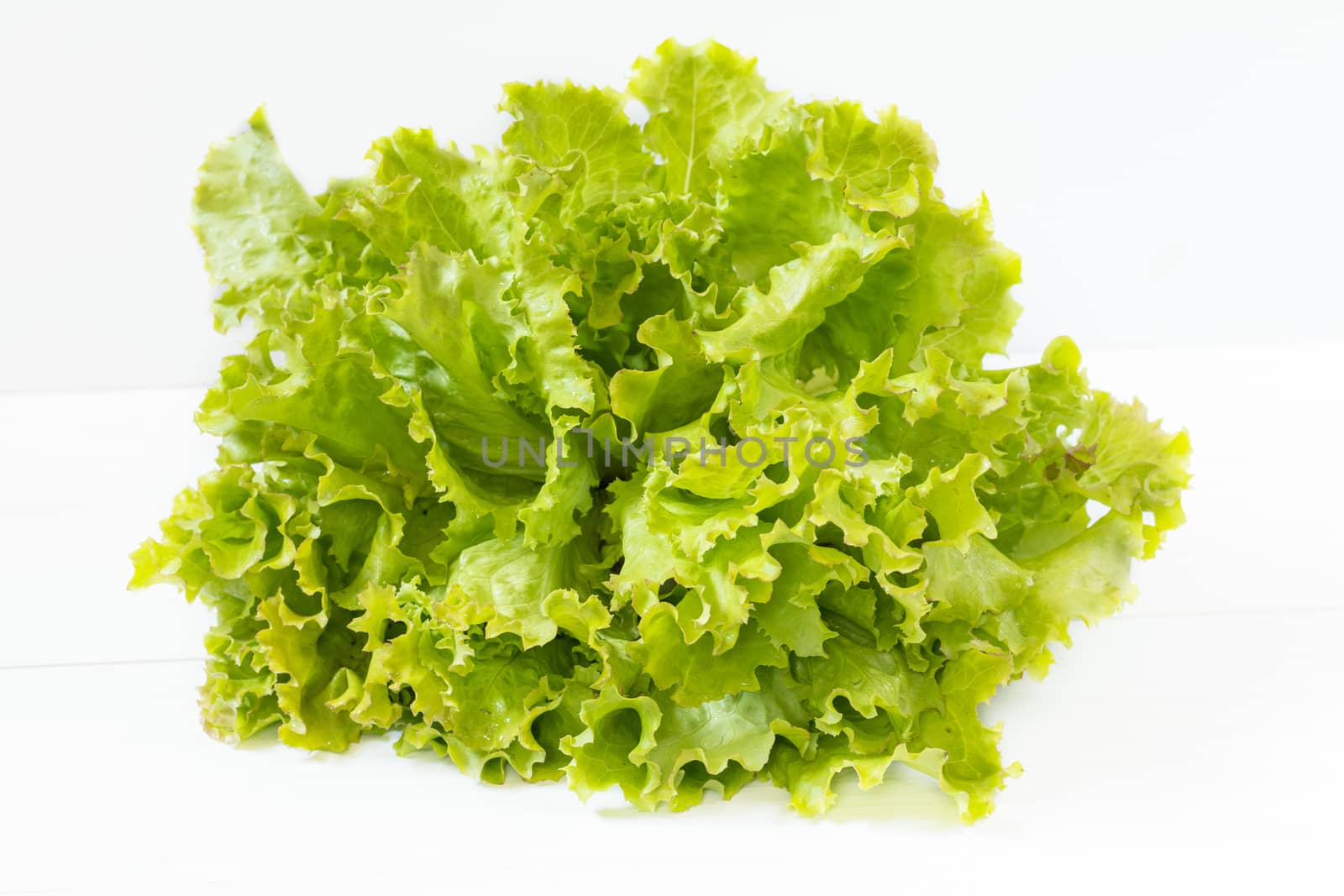 Fresh healthy yummy organic leaves of Green Frisee lettuce. Light background.