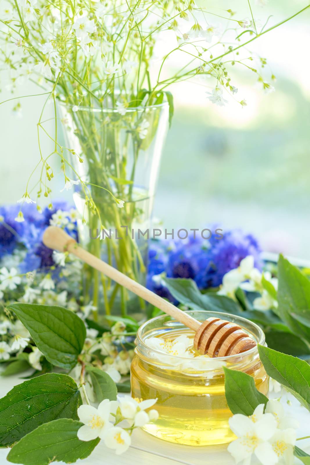 Honey in glass jars by ArtSvitlyna
