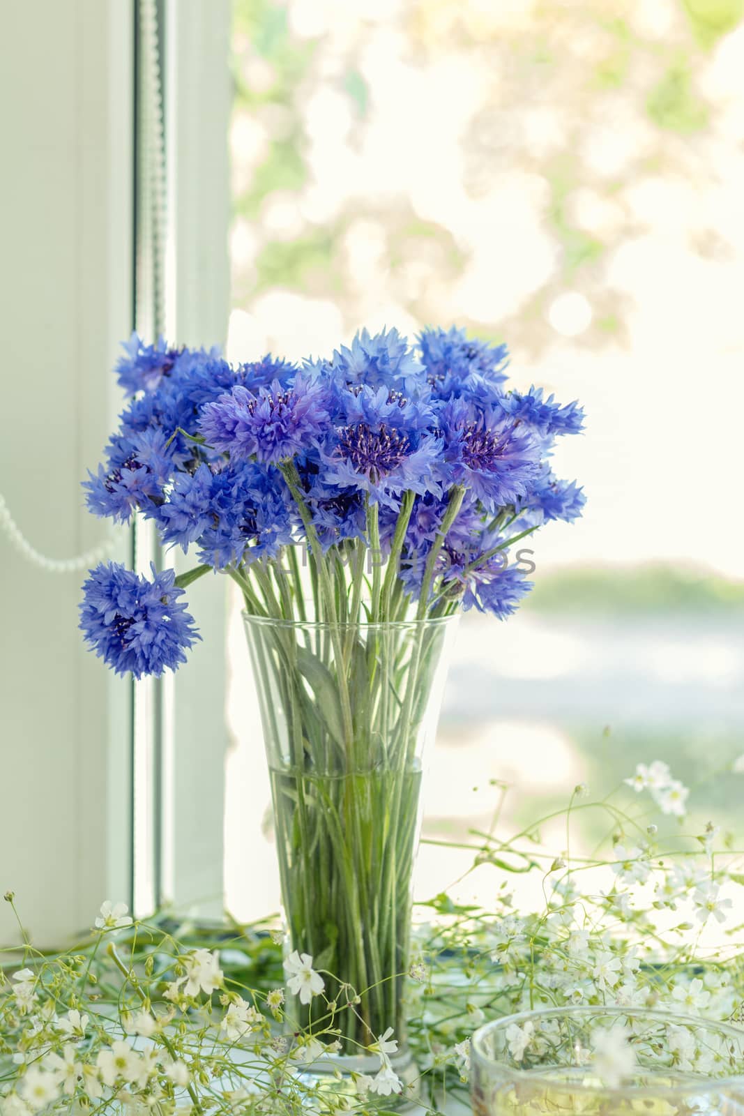 Cornflower flower in glass with white spring flowers on windowsill. Shallow depth of field.