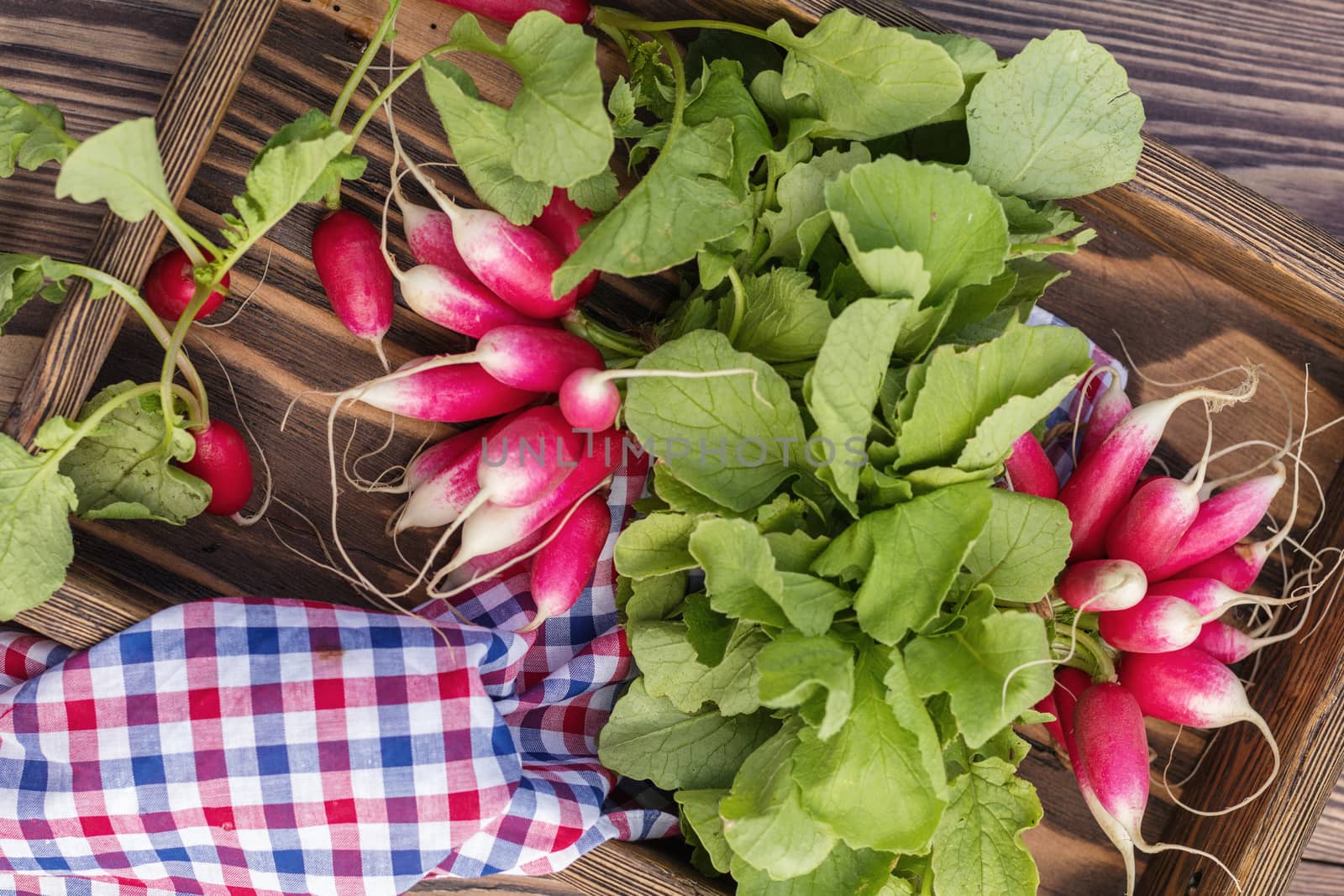 Bunch of fresh radishes in a wooden box outdoors on the table