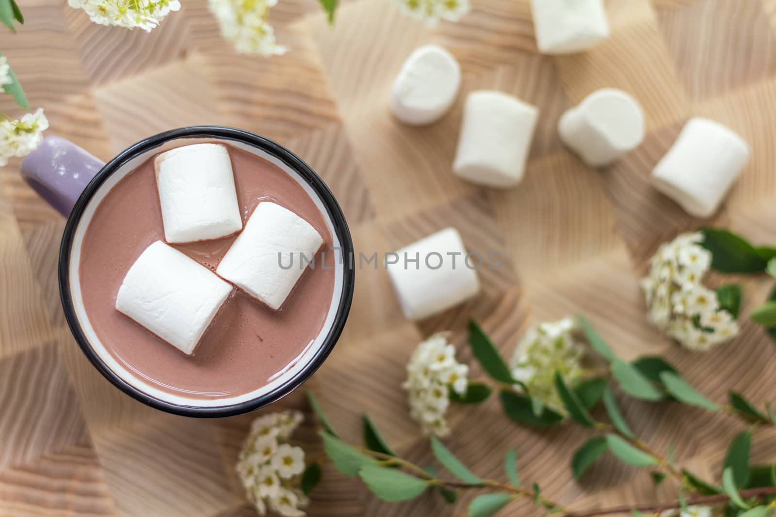  White marshmallows on top of hot cocoa in pink cup.  Fresh white spring flowers and more marshmallows are scattered around the cup. Cozy home concept. The view from above