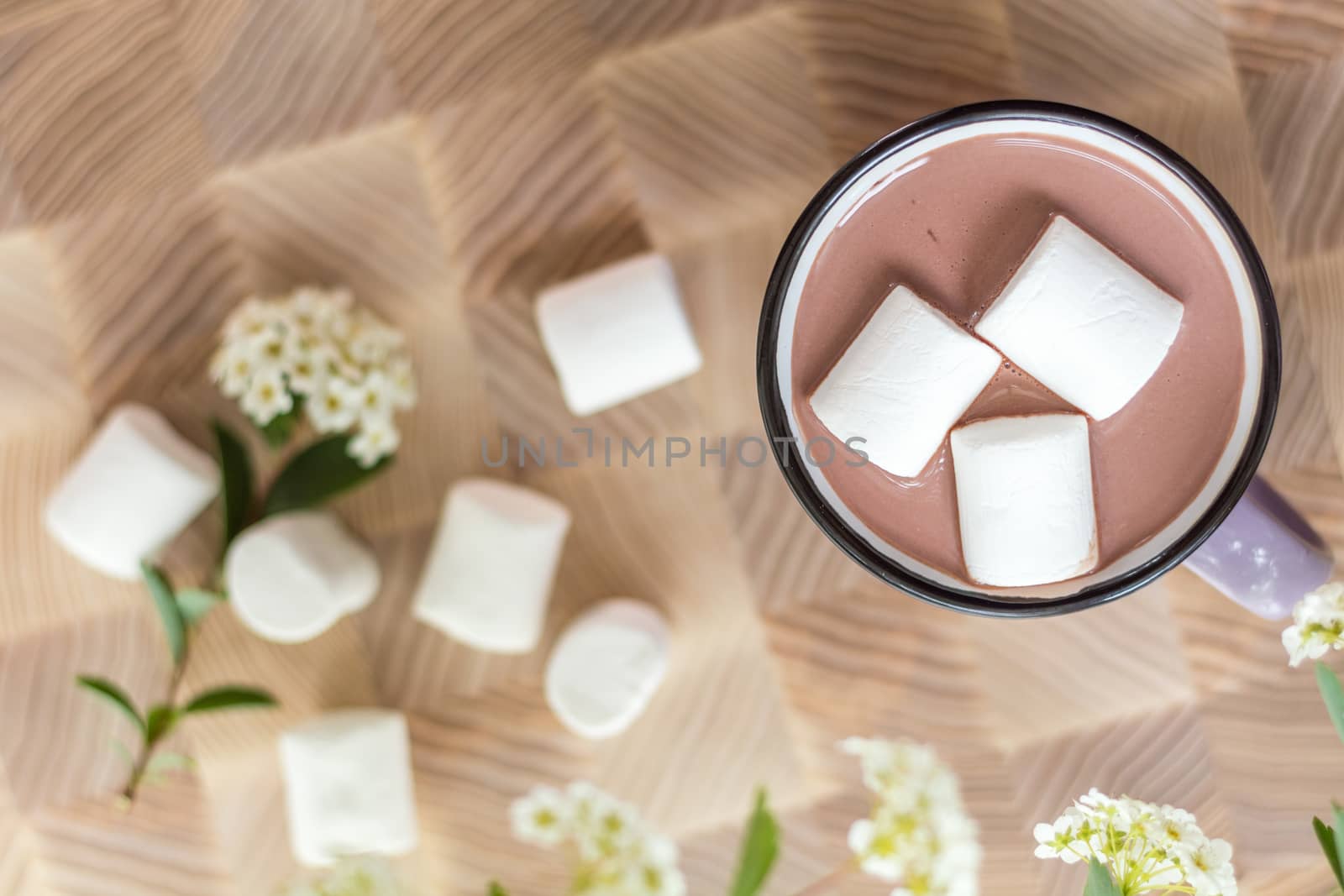  White marshmallows on top of hot cocoa in pink cup.  Fresh white spring flowers and more marshmallows are scattered around the cup. Cozy home concept. The view from above