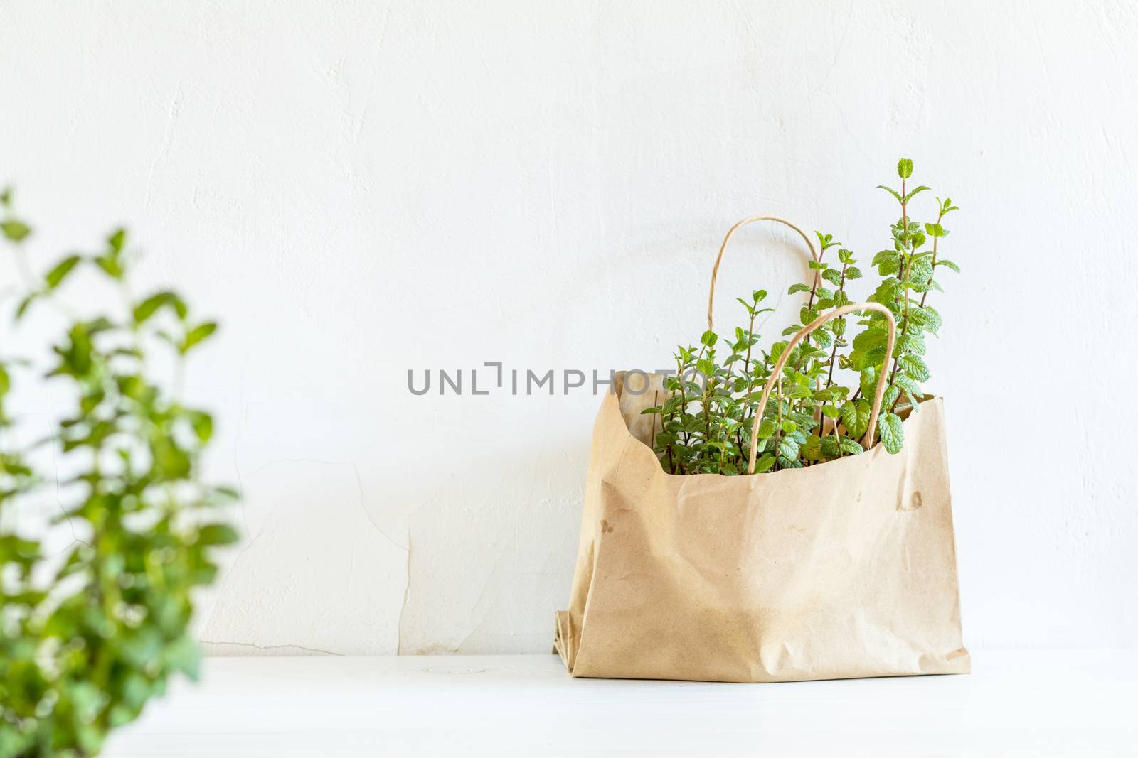 Spring gardening light concept. Fresh mint in a paper bag on a white table. White wall background.