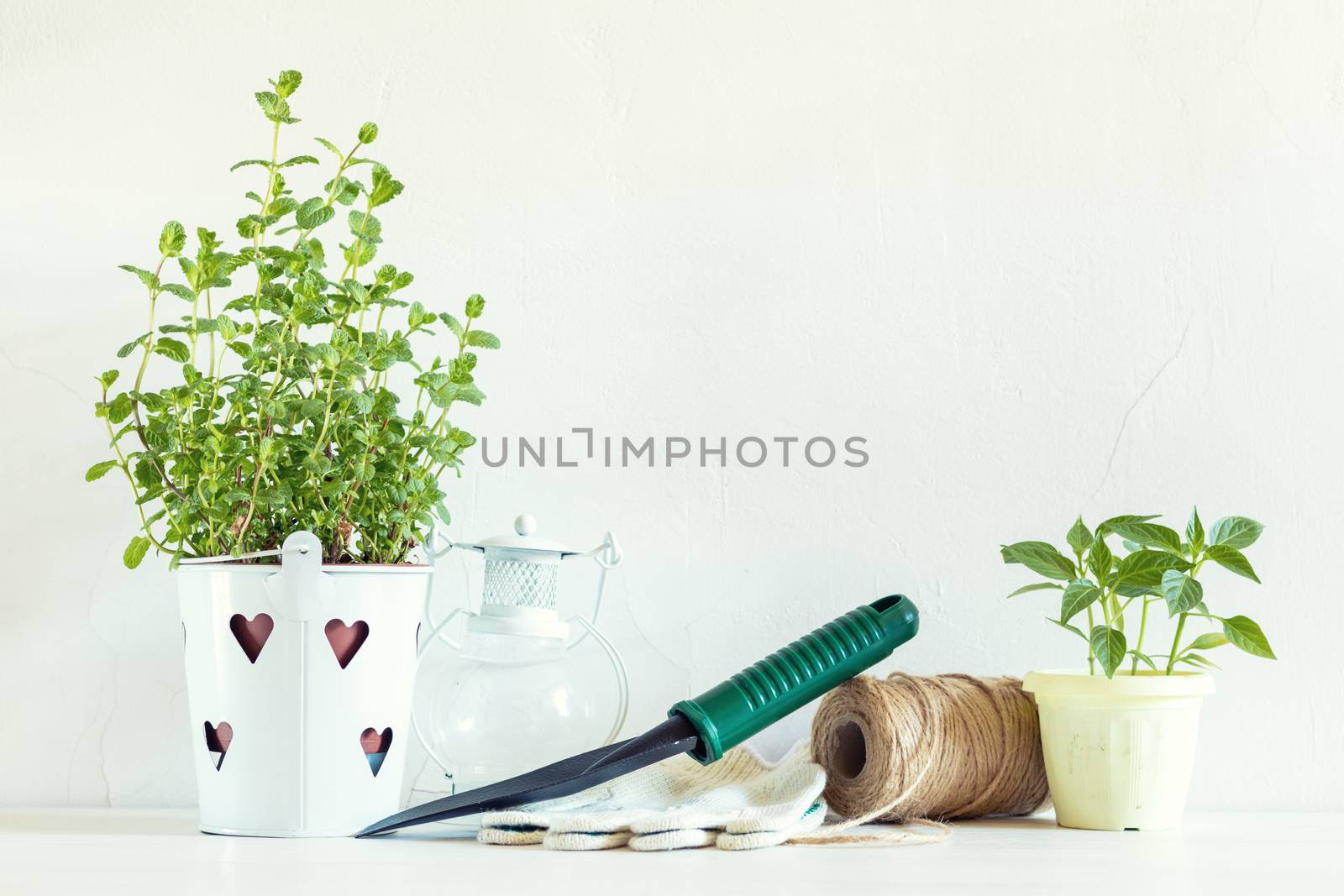 Spring gardening light concept by ArtSvitlyna