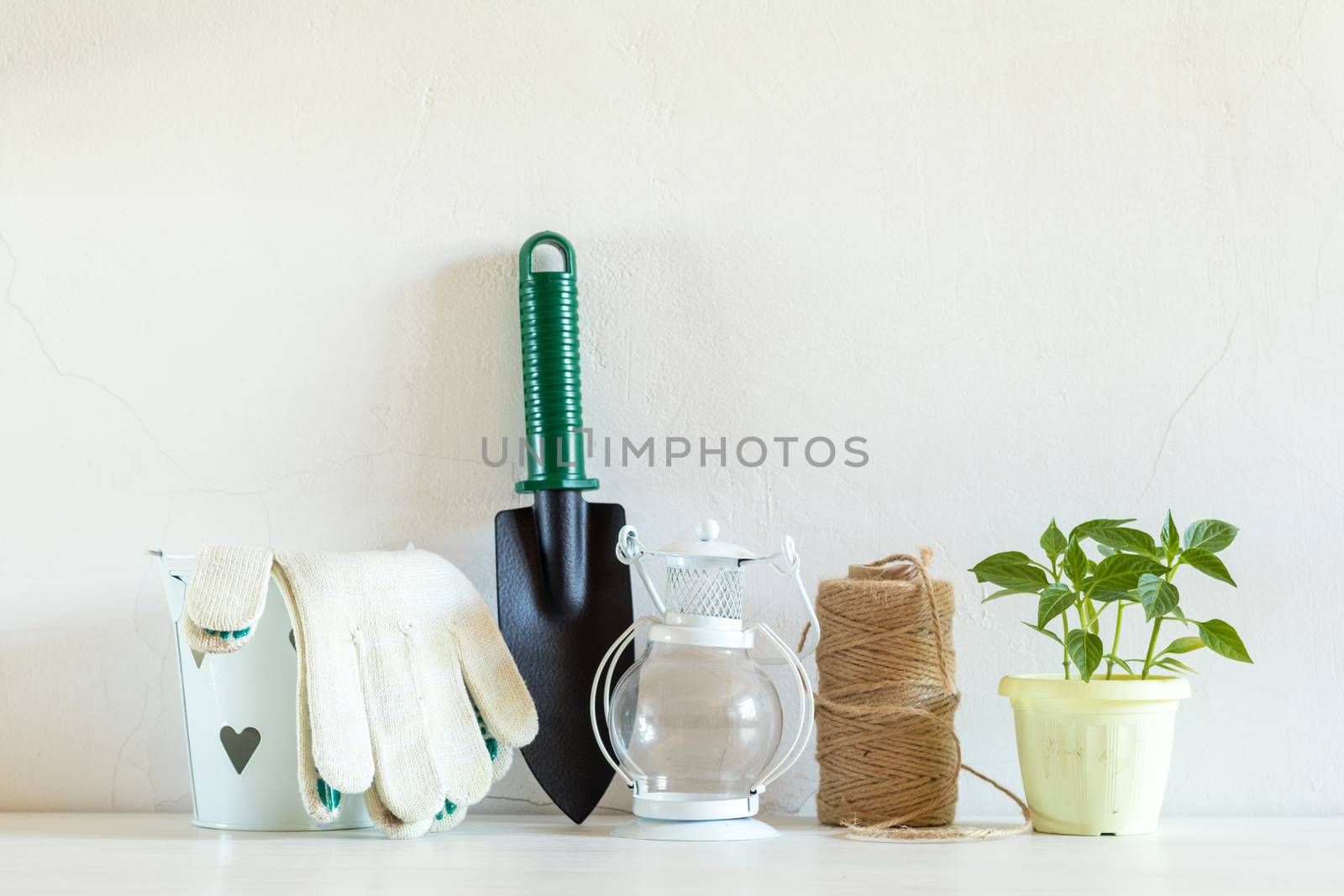 Spring gardening light concept. Pepper seedling in pot, hank of rope and gardening tools on a white table. White wall background.