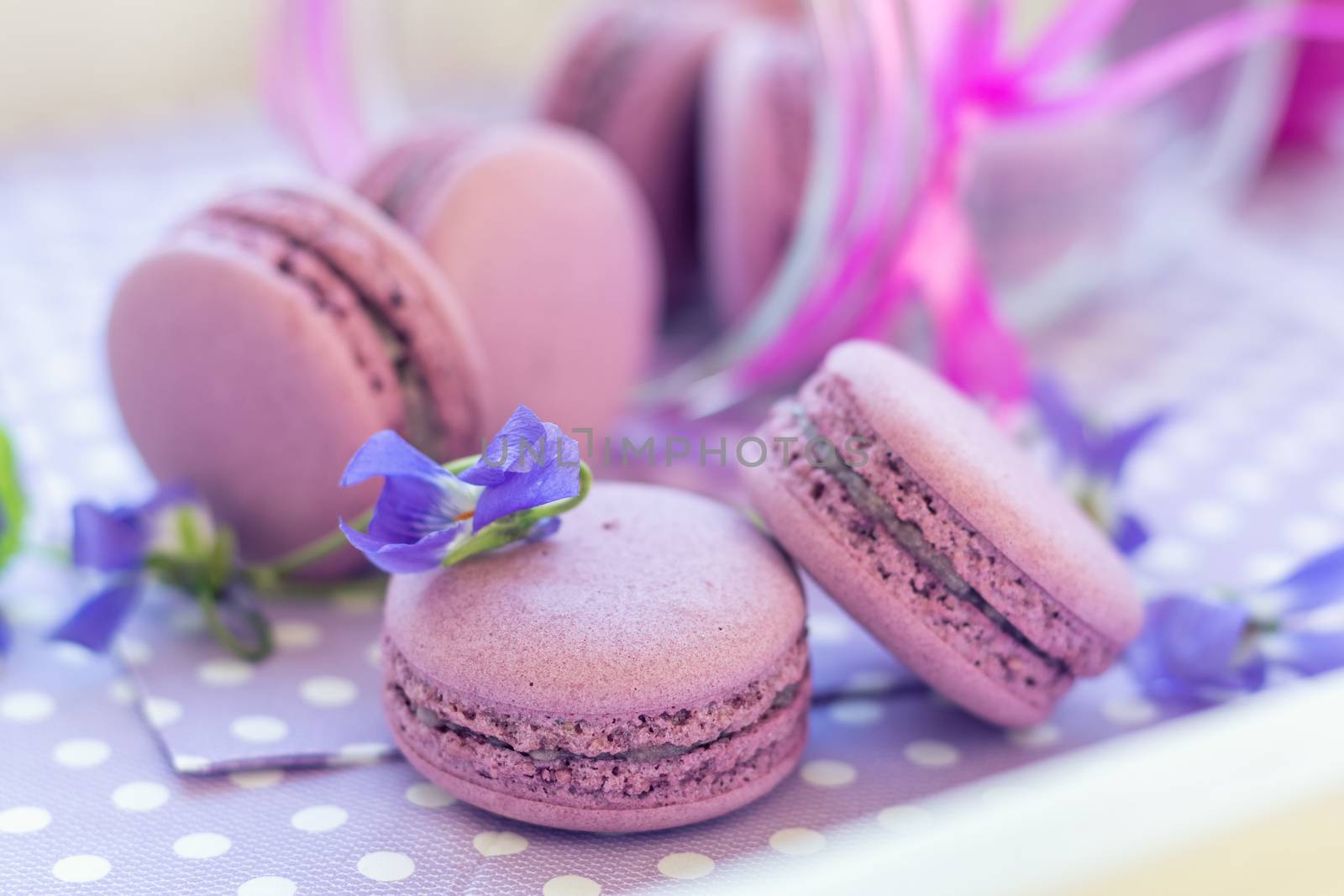 Violet sweet delicious macaroons and fresh violas on napkin polka dot. Shallow depth of field. Coloring toned photo.