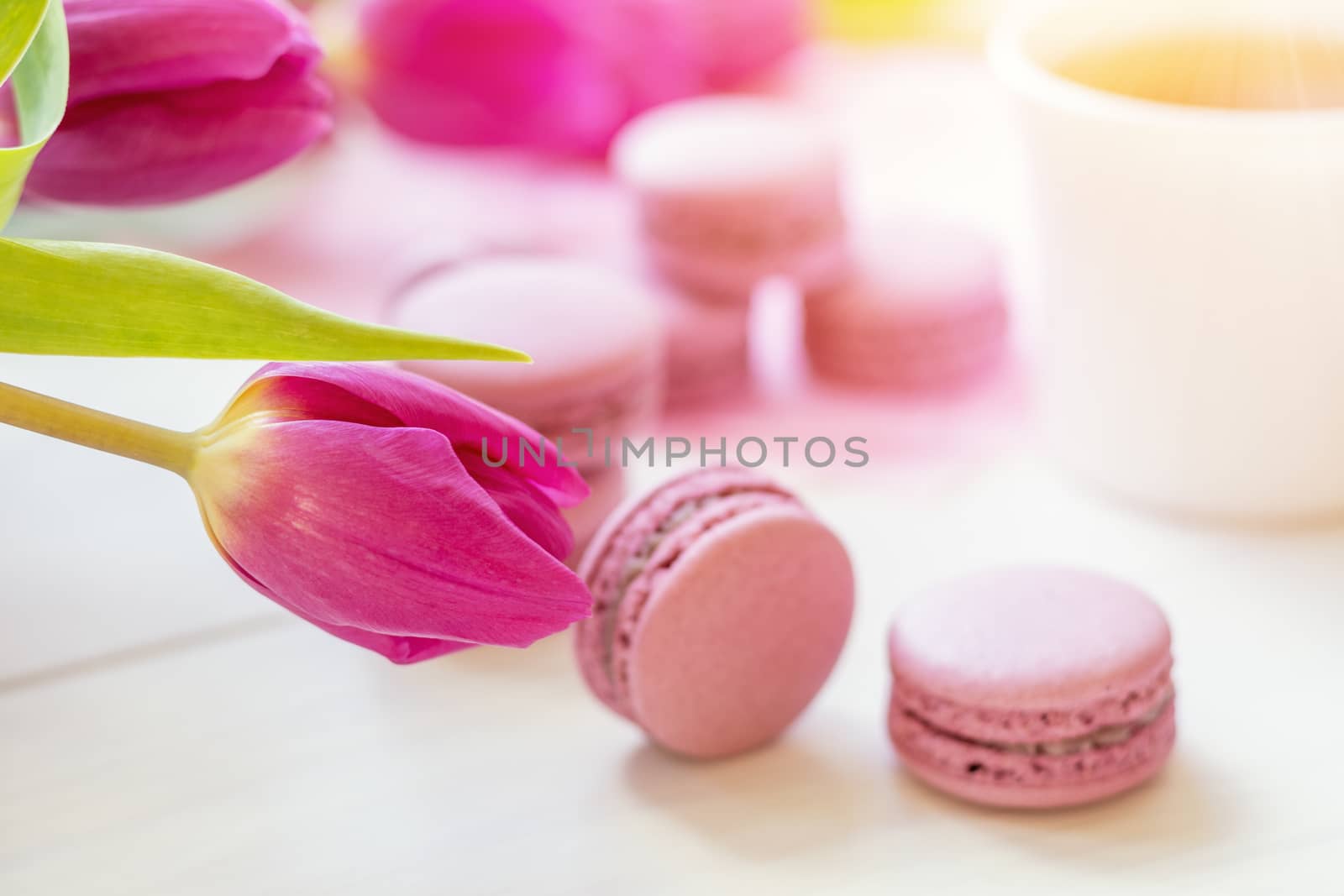 Violet sweet delicious macaroons and fresh tulips on white background. Cup of hot tea. Shallow depth of field. Coloring toned photo.