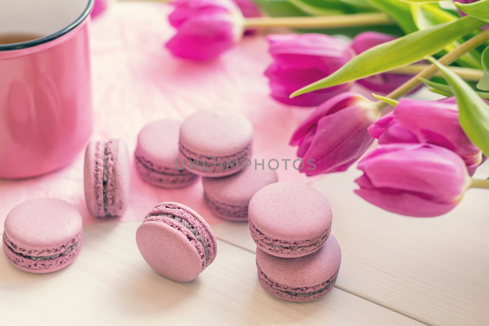 Violet sweet delicious macaroons and fresh violas by ArtSvitlyna