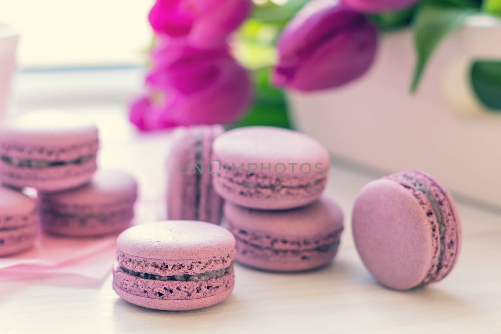 Violet sweet delicious macaroons and fresh tulips on white background. Shallow depth of field. Coloring toned photo.