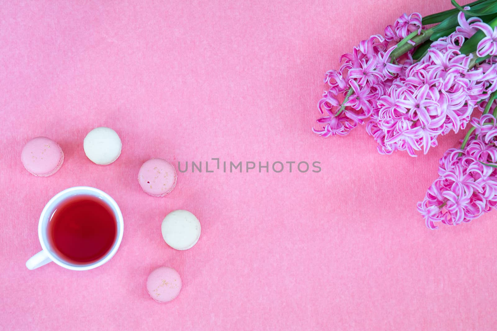 Beautiful spring holiday background. Cup of tea, fresh pink hyacinth and sweet  berry and vanilla macaroons cookies on pink copy space groundwork.