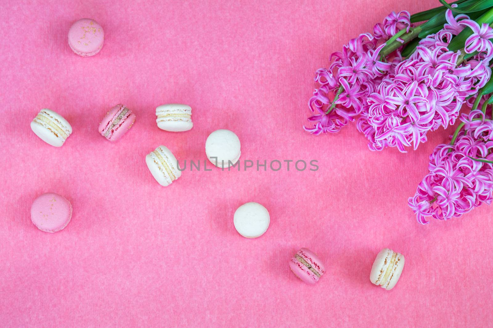 Beautiful spring holiday background. Fresh pink and white hyacinth and sweet berry and vanilla macaroons cookies on pink copy space groundwork.