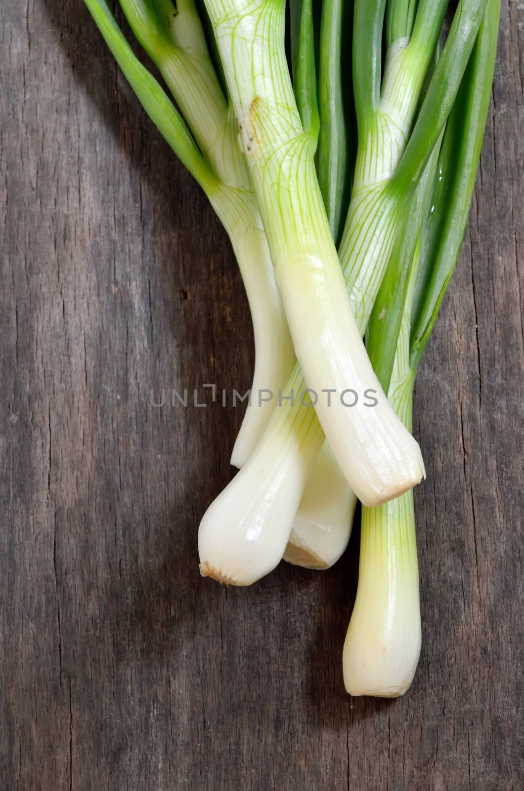 Spring fresh green onion on wooden table