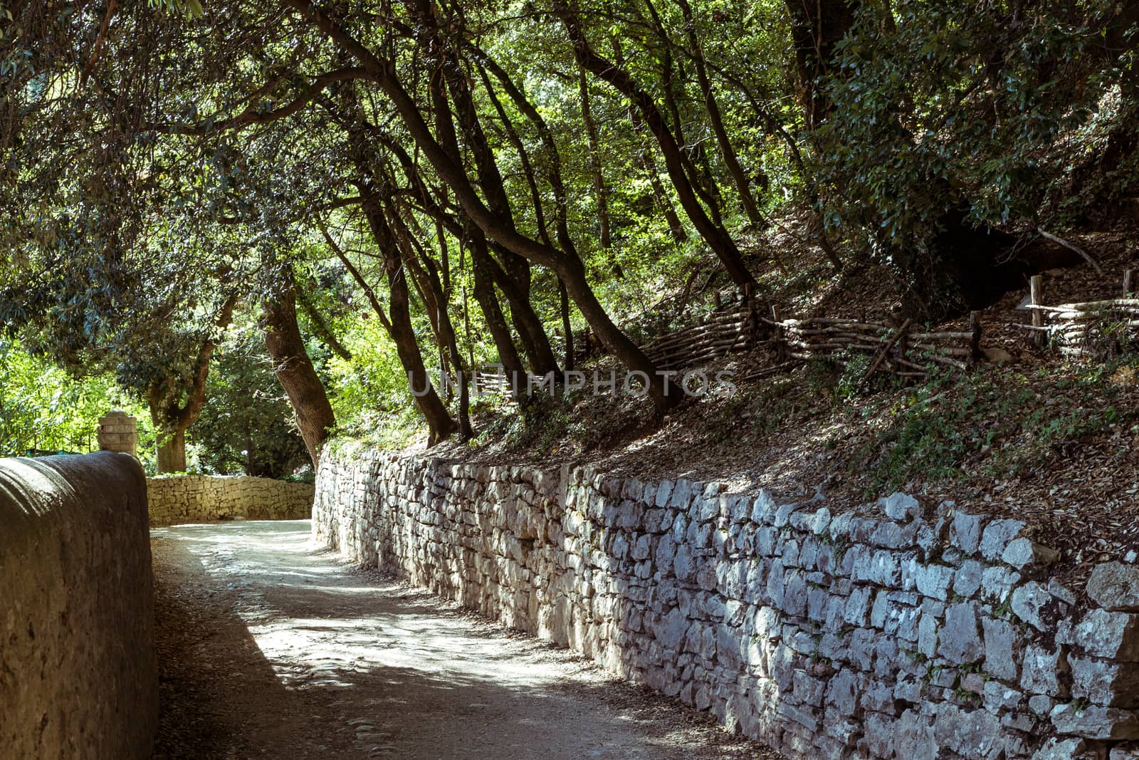 Umbria (Italy): small road in the woods leading to the Franciscan places