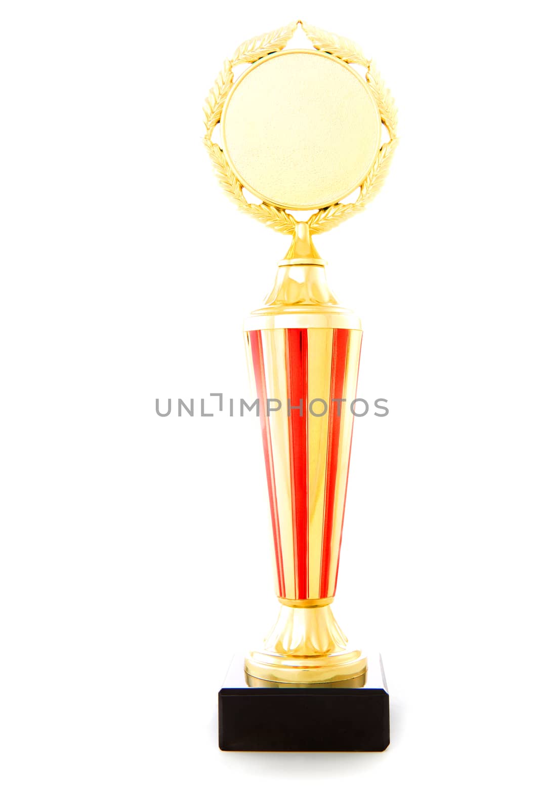 Gold Cup Studio Quality white Background