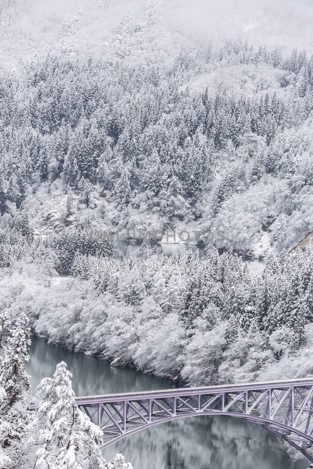 Winter landscape snow covered trees with train crossin River on Bridge