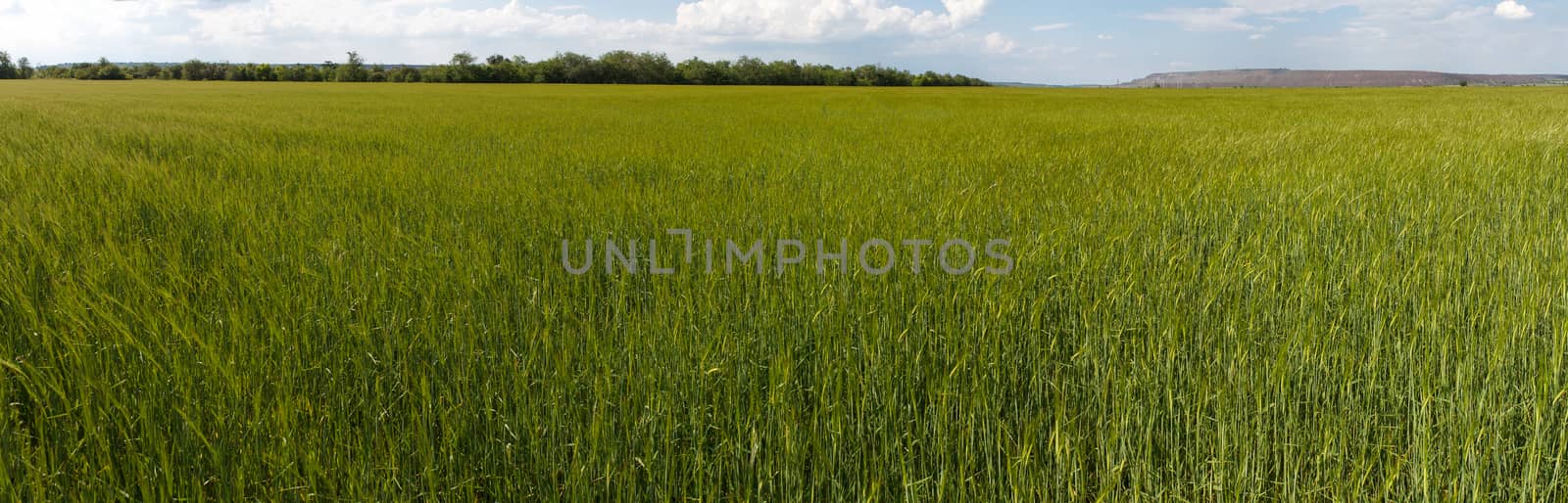 Photo panorama of fields on a sunny day.