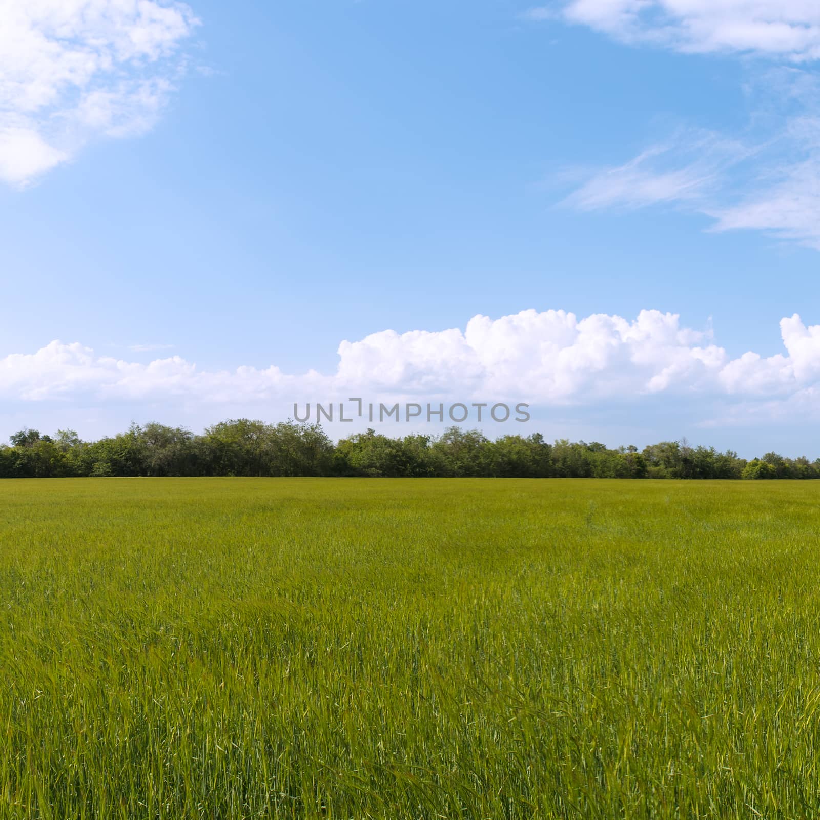 Photo panorama of fields on a sunny day.