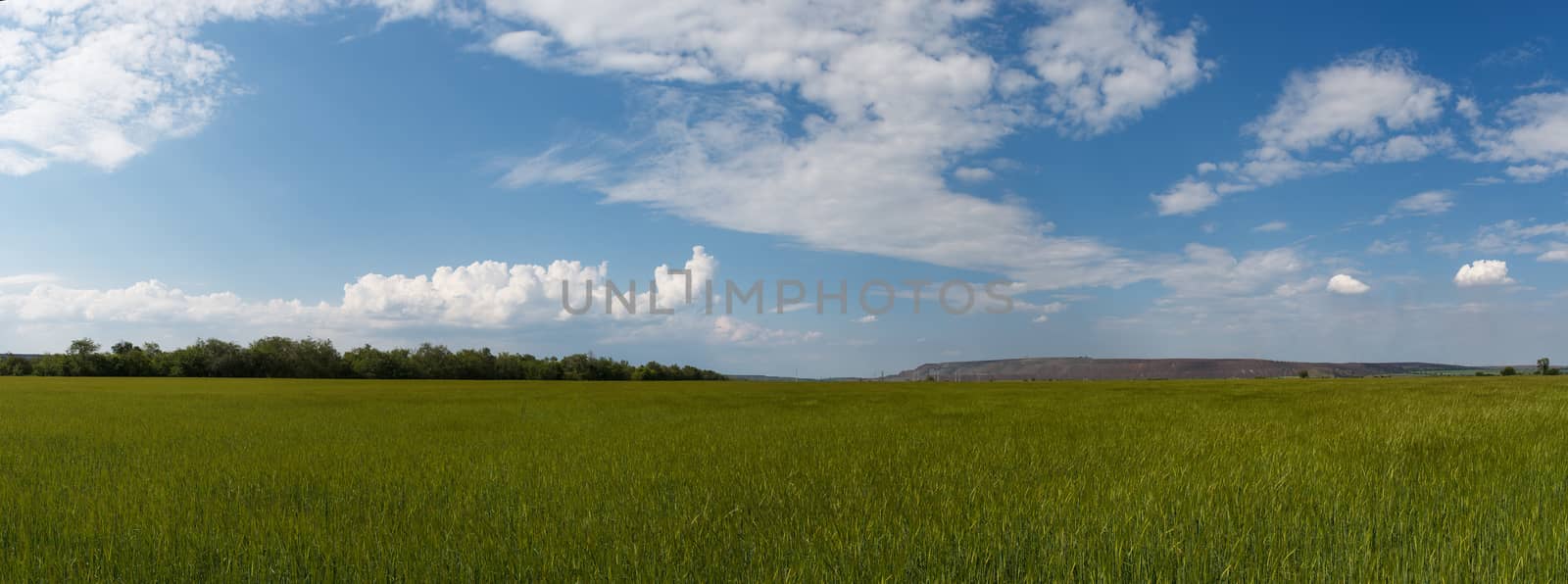 Photo panorama of fields on a sunny day.