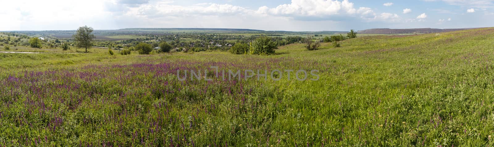 Photo panorama of fields on a sunny day.