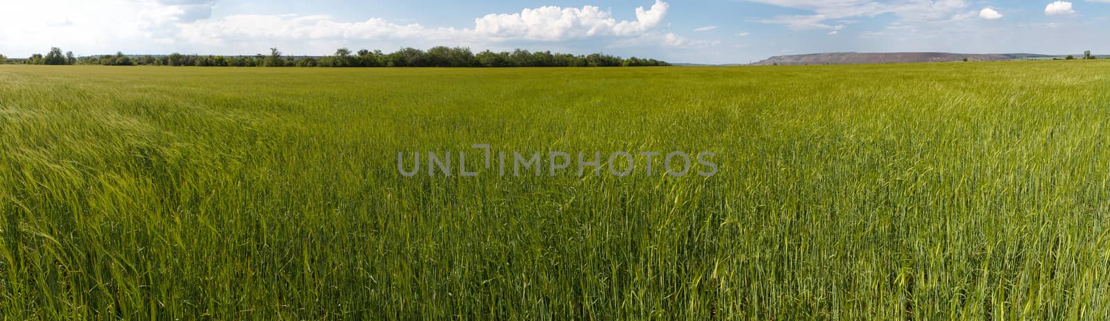 Photo panorama of fields on a sunny day.