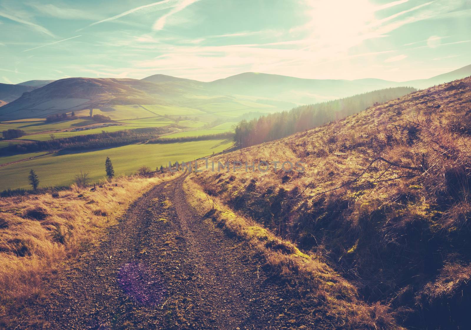 Country Track Or Trail In The Scotltish Borders On A Summer's Day At Dusk