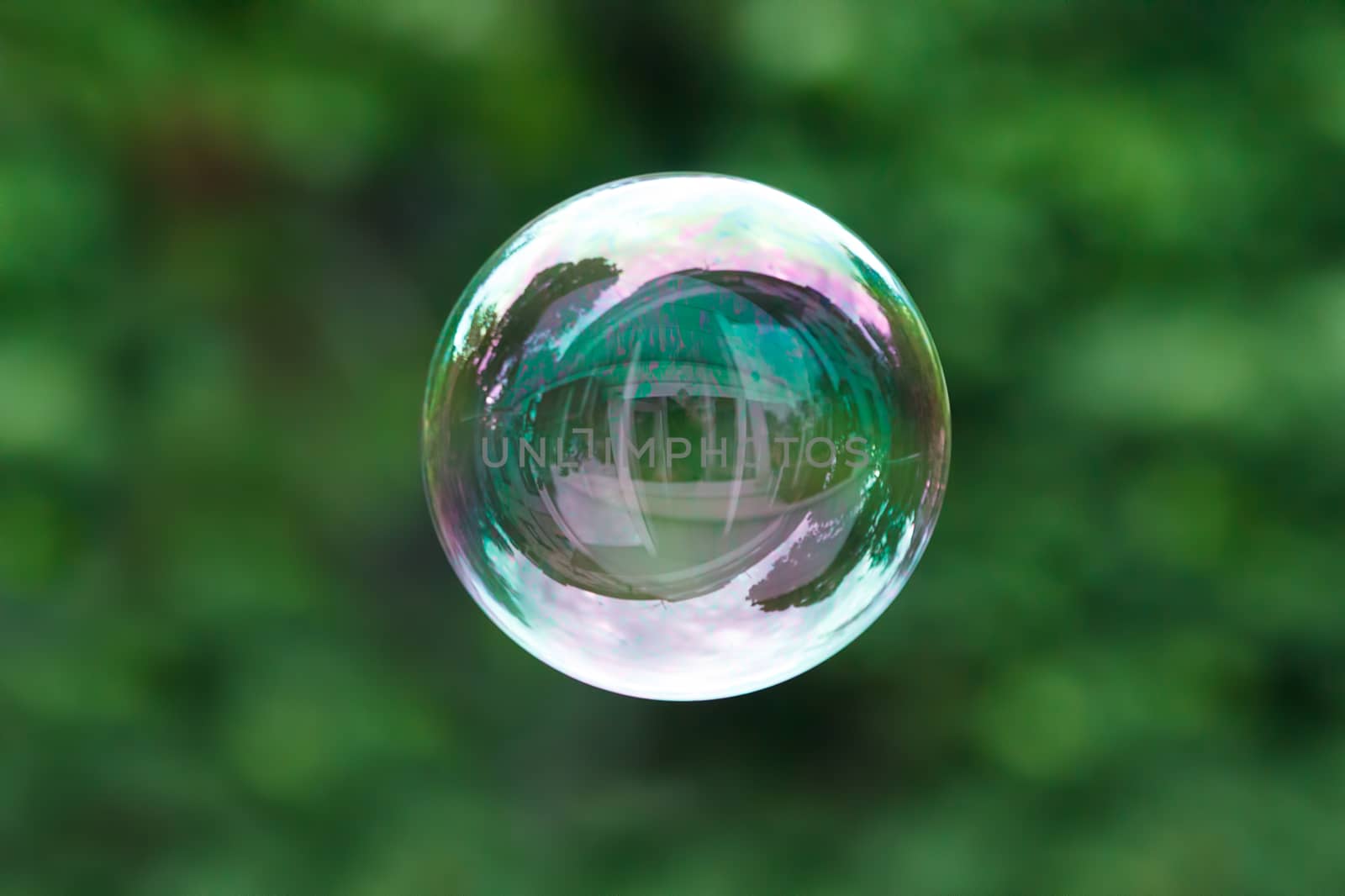 Soap ball in daylight against a background of greenery.