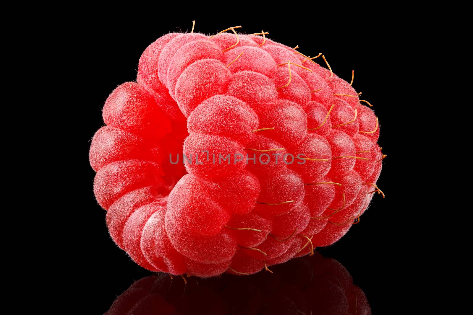 One ripe raspberry on black background.