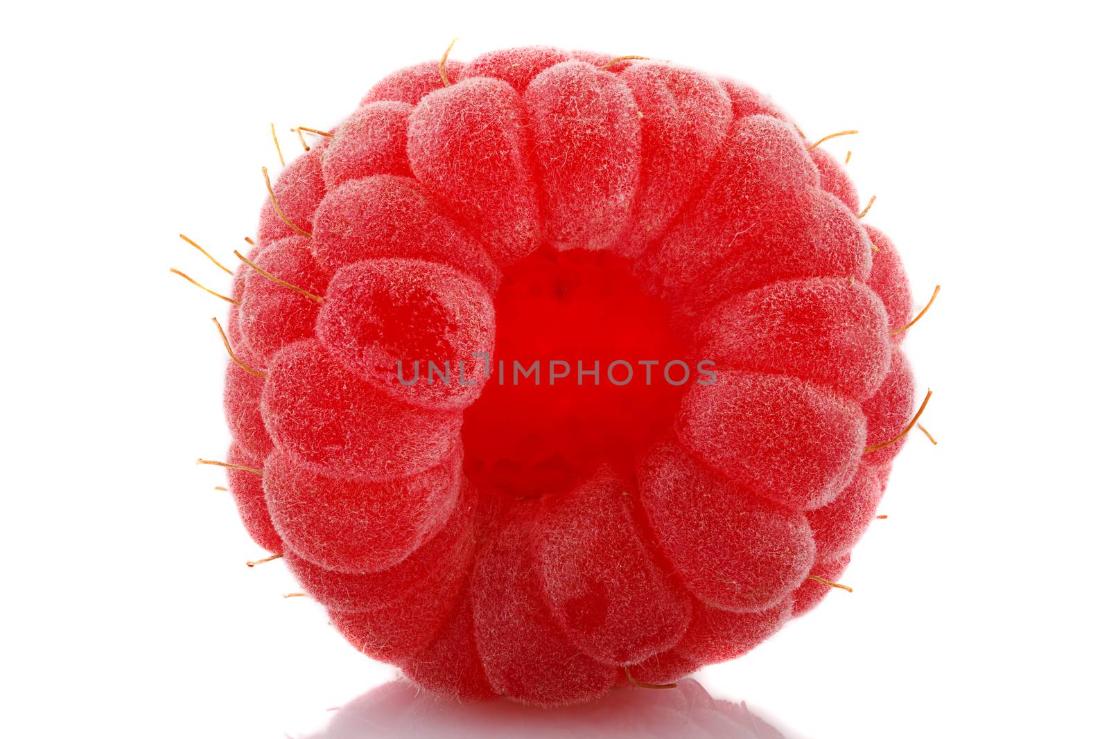 One ripe raspberry on white background.